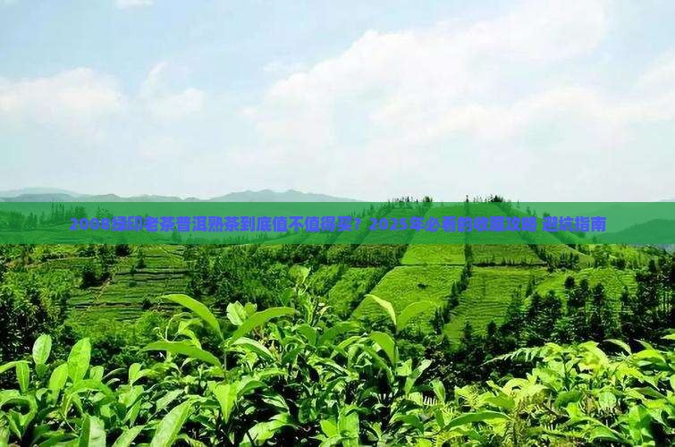 2008绿印老茶普洱茶熟茶 2008绿印老茶普洱茶熟茶