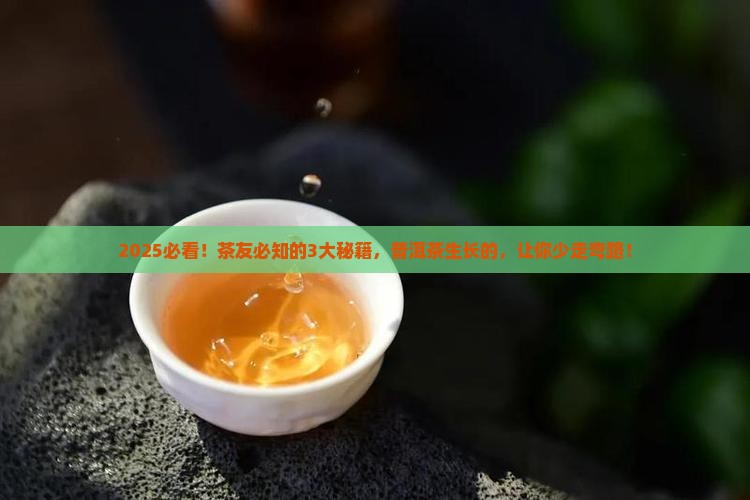 普洱茶的生长因素有哪些