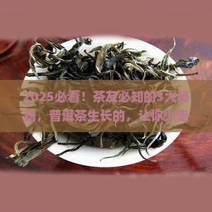 普洱茶的生长因素有哪些