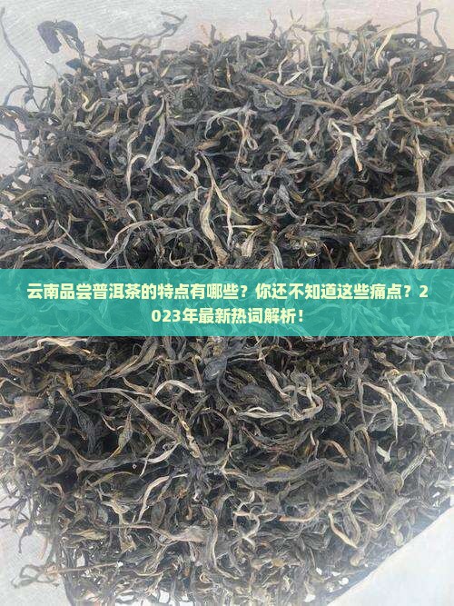 云南品尝普洱茶的特点有哪些 云南品尝普洱茶的特点有哪些