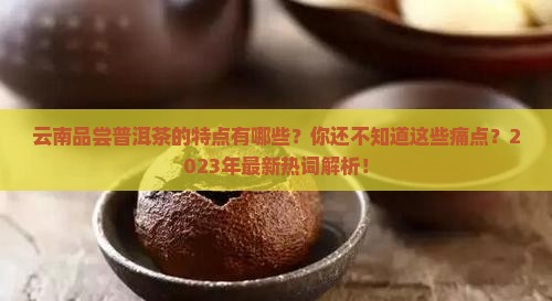 云南品尝普洱茶的特点有哪些 云南品尝普洱茶的特点有哪些