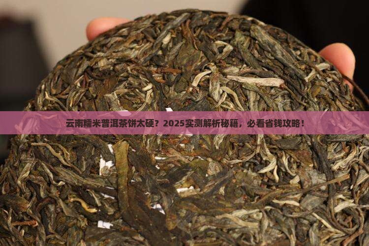 云南糯米普洱茶饼太硬