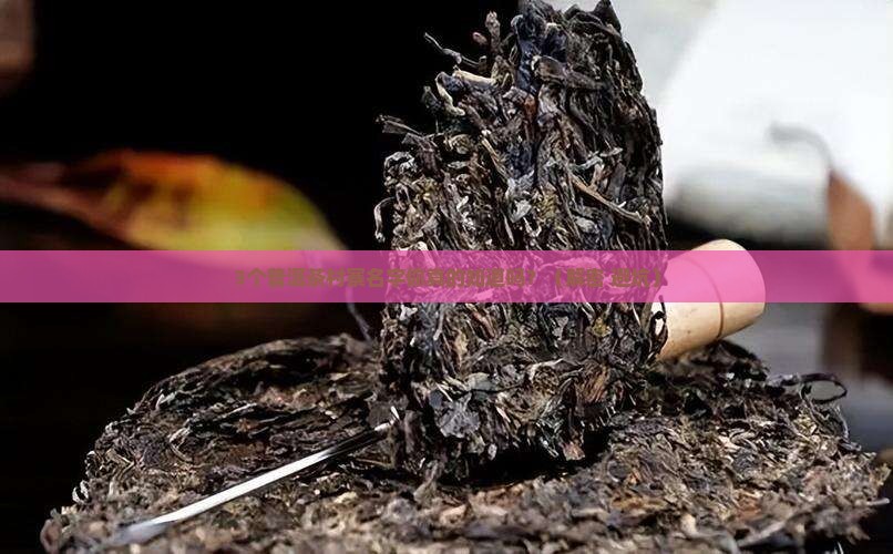 普洱茶村寨名字