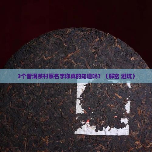 普洱茶村寨名字