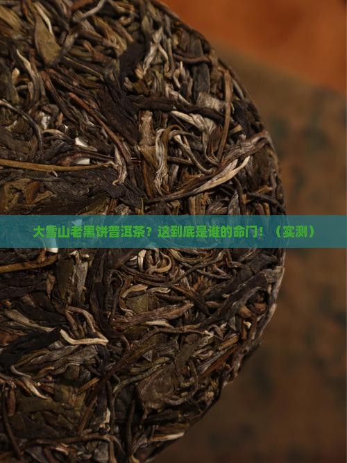 大雪山老黑饼普洱茶