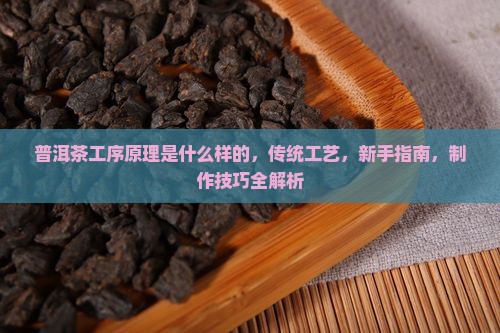 普洱茶工序原理是什么样的