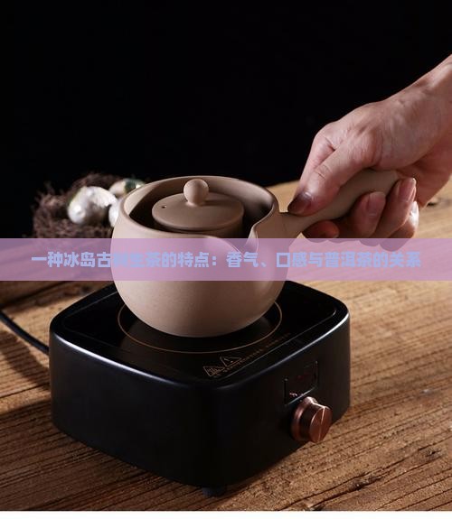 冰岛古树生茶的香气
