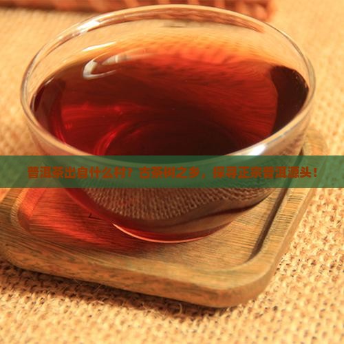 普洱茶出自什么村
