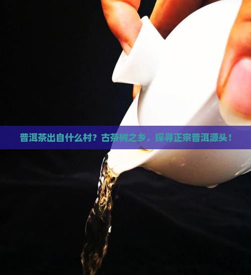 普洱茶出自什么村