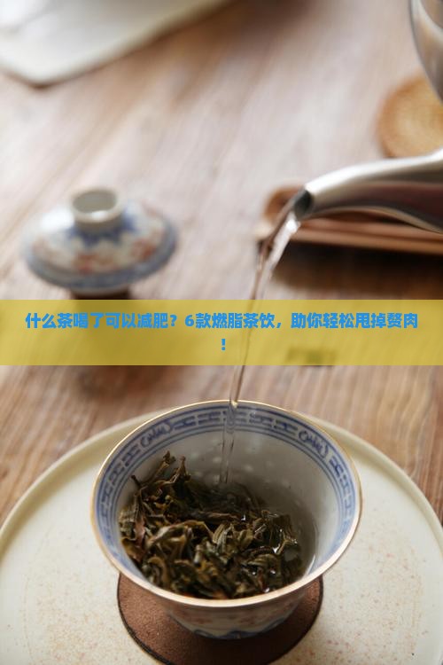 什么茶喝了可以减肥