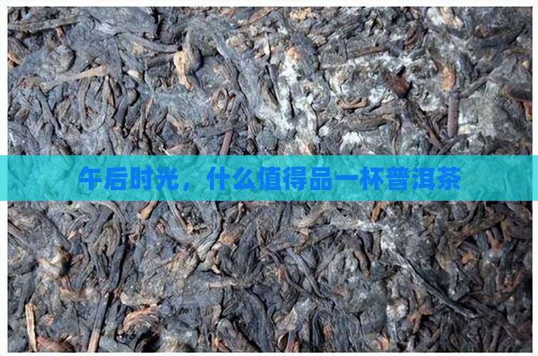 午后来杯普洱茶