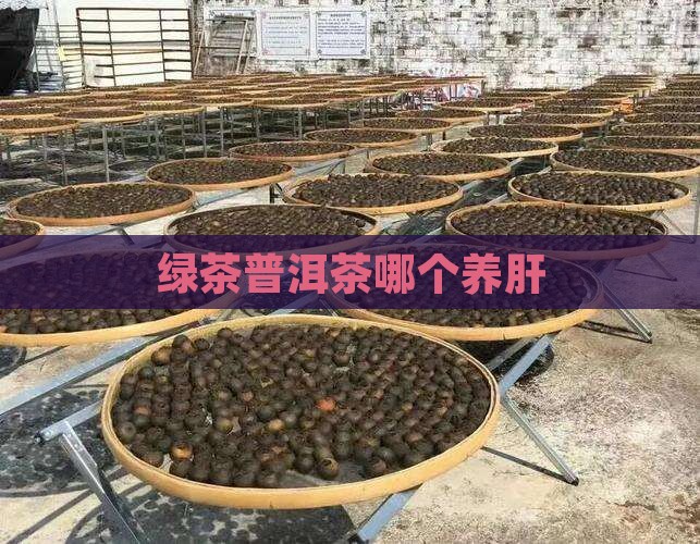 绿茶普洱茶哪个养肝