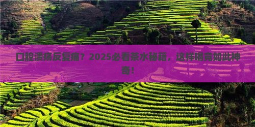 经常口腔溃疡喝什么茶水好