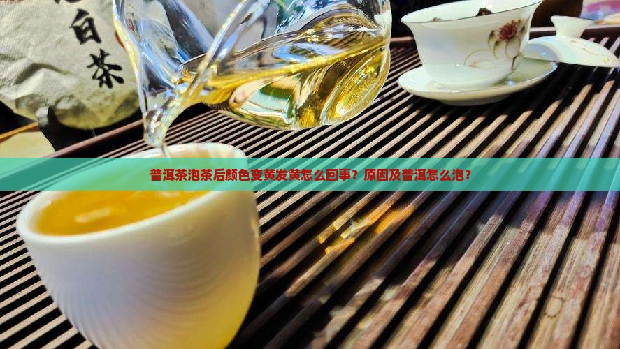 普洱茶泡茶后发黄怎么回事