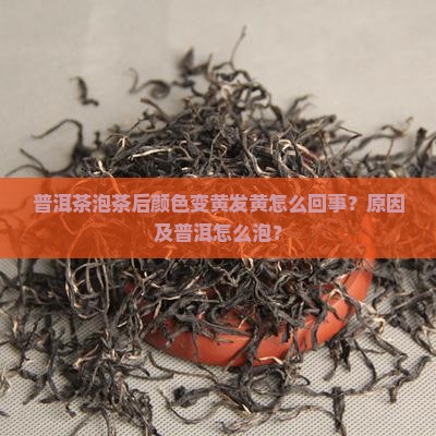 普洱茶泡茶后发黄怎么回事