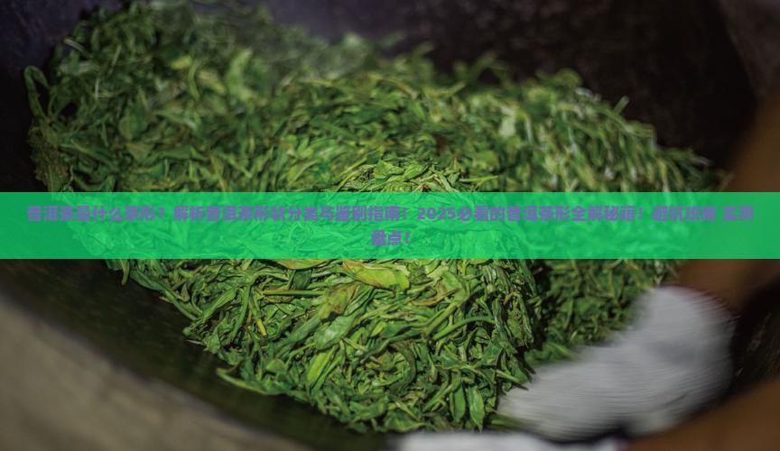 普洱茶是什么茶形