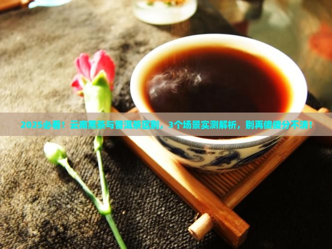 云南黑茶与普洱茶区别