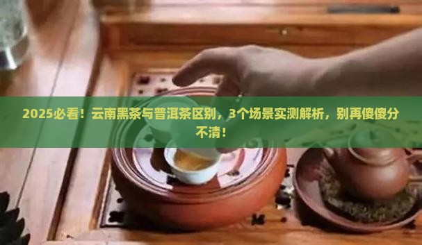 云南黑茶与普洱茶区别