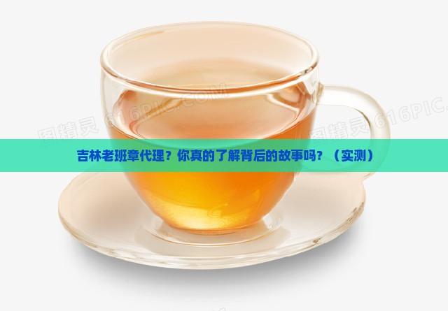 吉林老班章品牌代理