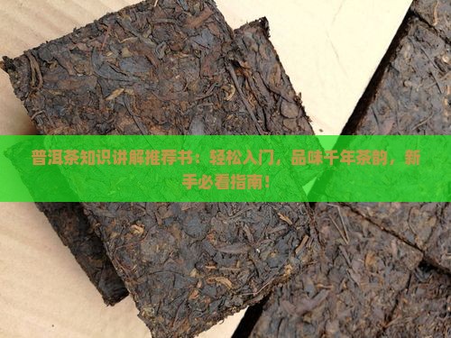 普洱茶知识讲解推荐书