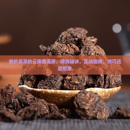 低价卖高价云南普洱茶