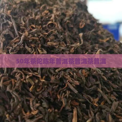 5O年茶陀陈年普洱茶
