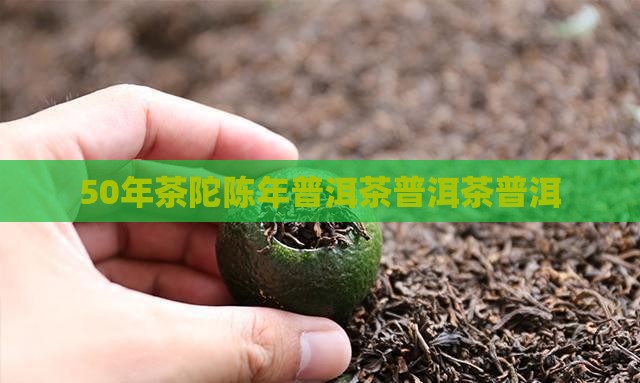 5O年茶陀陈年普洱茶