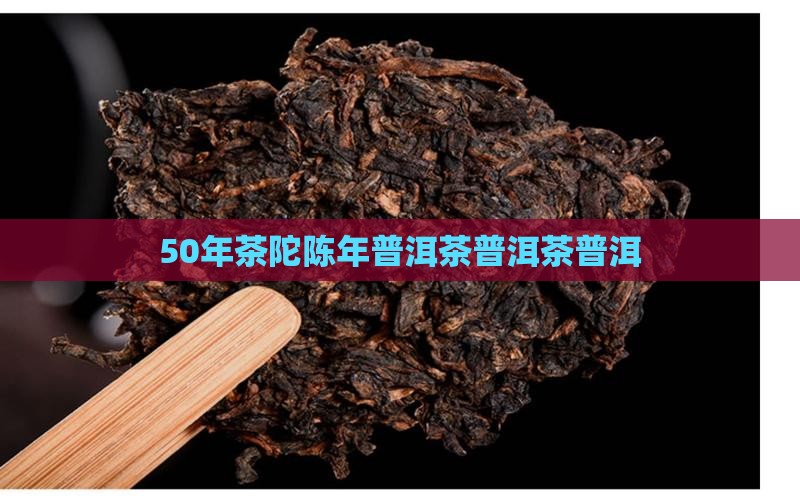 5O年茶陀陈年普洱茶