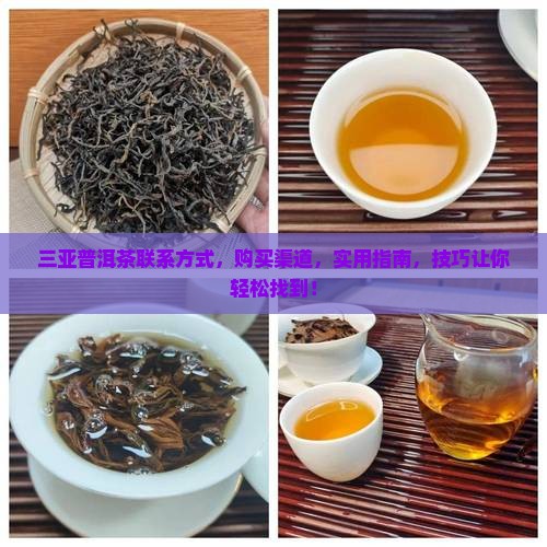 三亚普洱茶联系方式