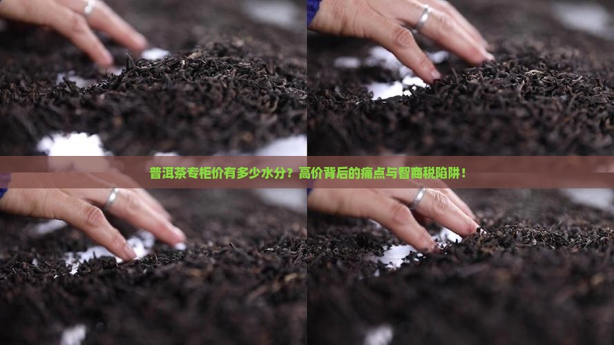 普洱茶专柜价有多少水分