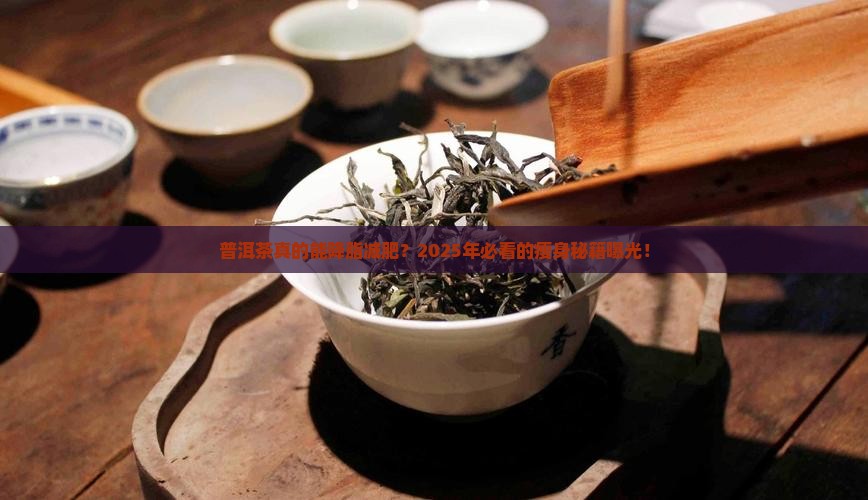 普洱茶的降脂减肥功能是什么
