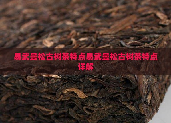 易武曼松古树茶特点