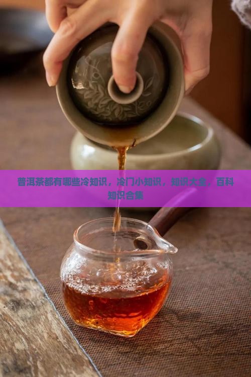 普洱茶都有哪些冷知识