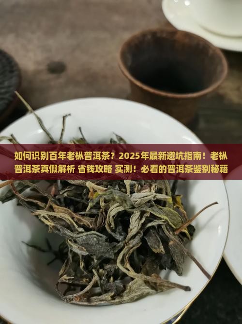 识别百年老枞普洱茶