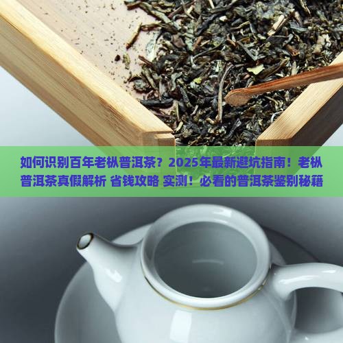 识别百年老枞普洱茶