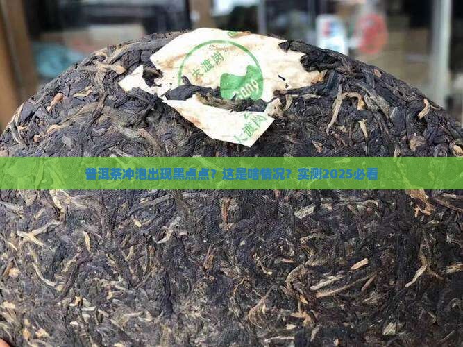 普洱茶冲泡有黑点点还能喝吗