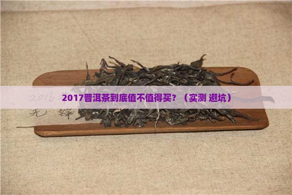 2017普洱茶品质