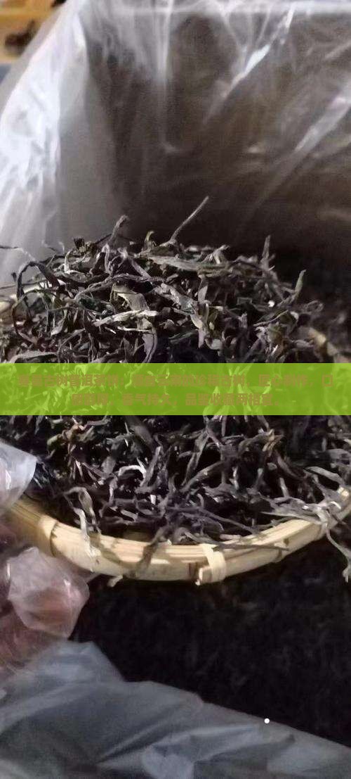 赛曼古树普洱茶饼