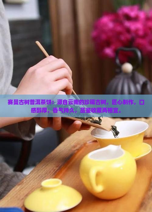 赛曼古树普洱茶饼