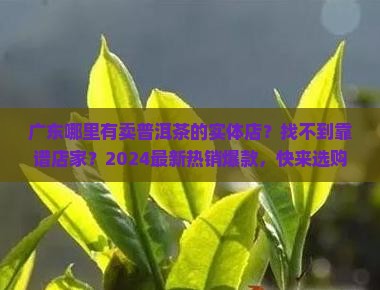 广东哪里有卖普洱茶的实体店