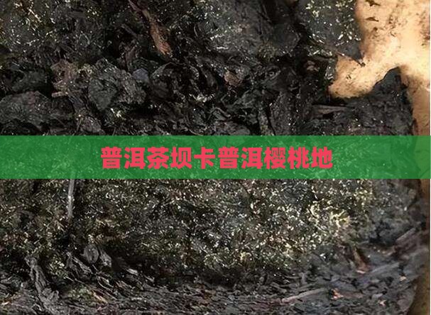 坝卡樱桃地普洱茶