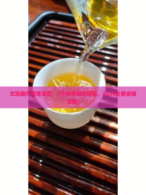 文玩葫芦泡普洱茶