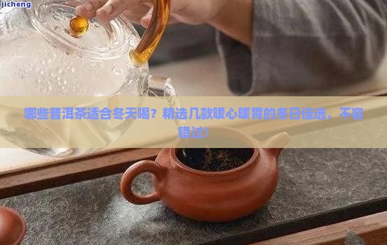 哪些普洱茶适合冬天喝