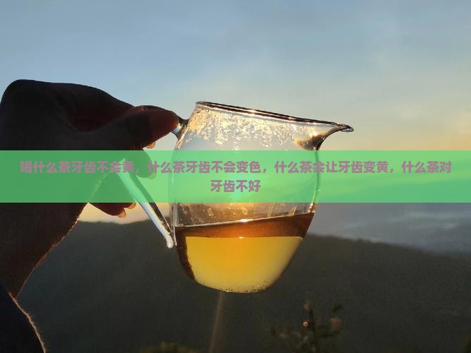 喝什么茶牙齿不会黄