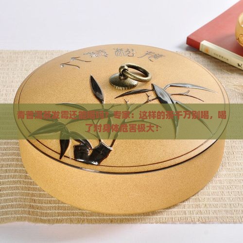 青普洱茶发霉还能喝吗