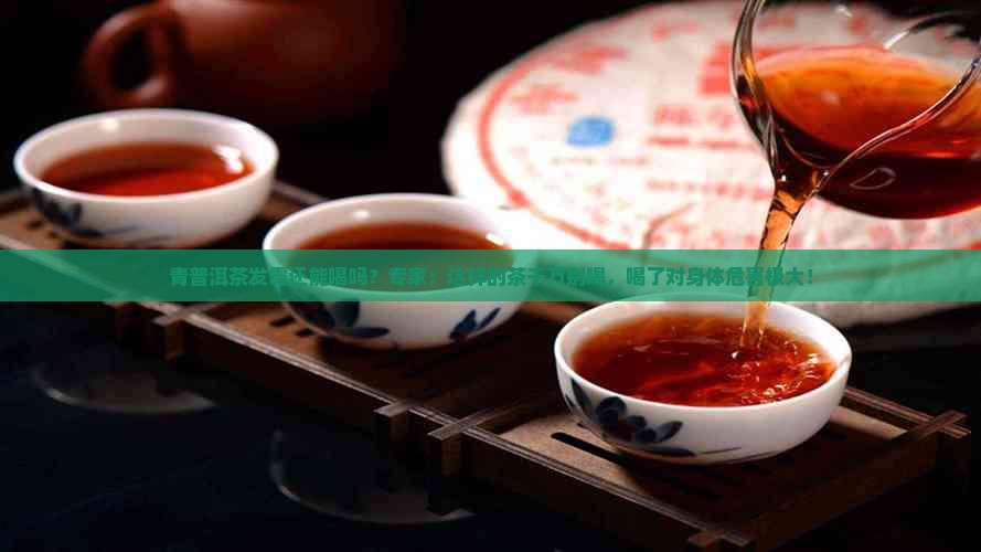 青普洱茶发霉还能喝吗