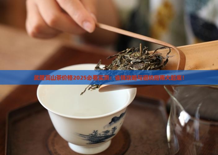 武隆高山茶价格