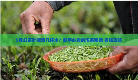 5克红茶叶能泡多少水