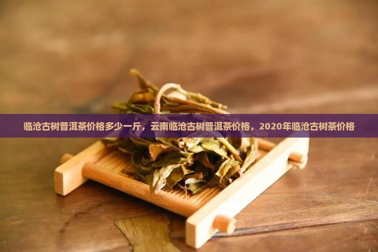 临沧古树普洱茶价格多少