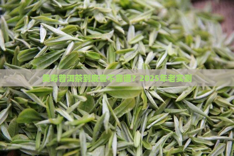 云南普洱茶老品牌美寿
